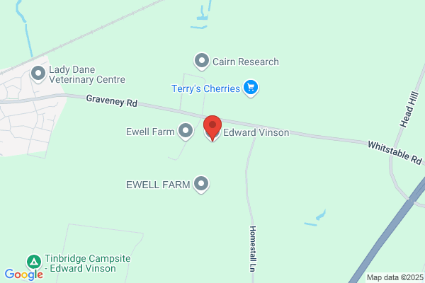 Vinson
