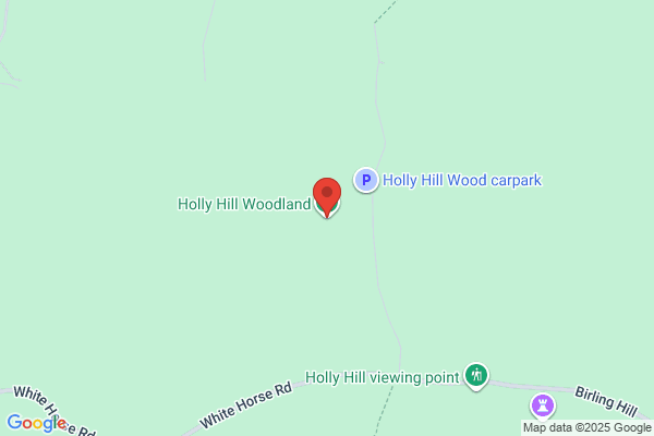 Woods