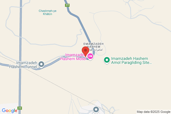 S Hashemzadeh