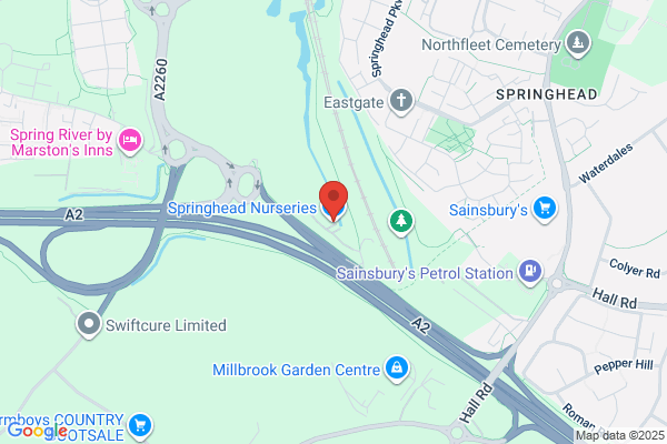 Springhead Nurseries