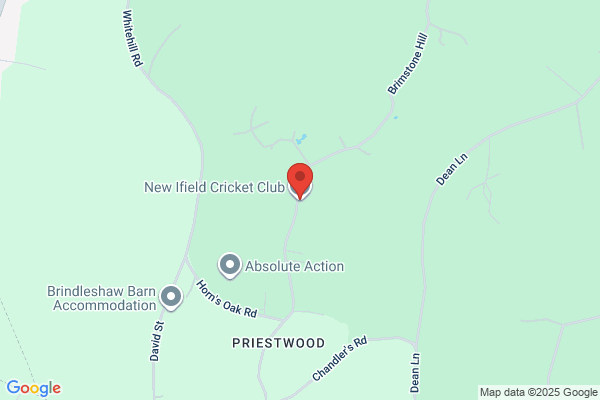New Ifield Cricket Club