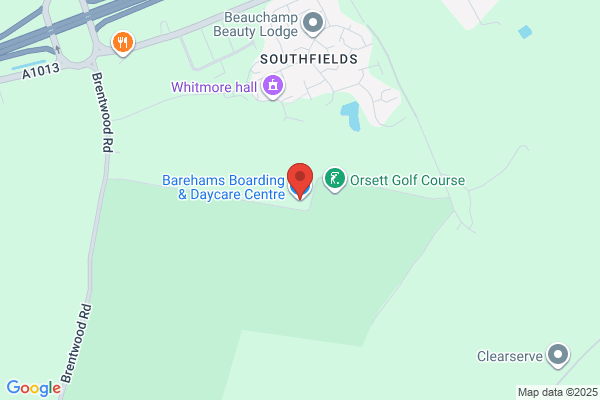 Bareham Boarding Kennels