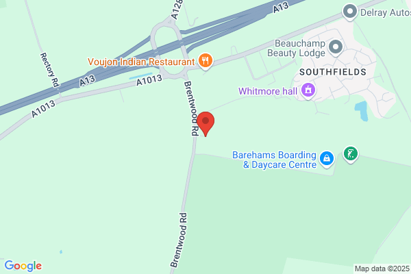 Brainwood W C