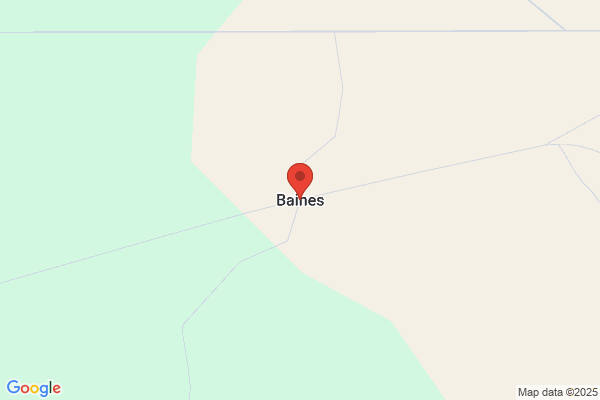 Baines