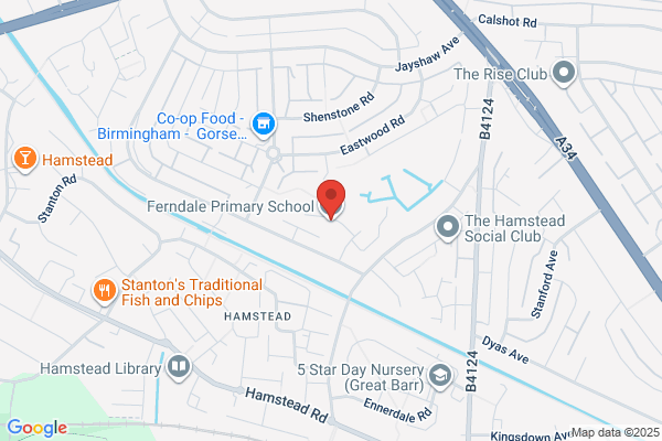 Ferndale Primary School