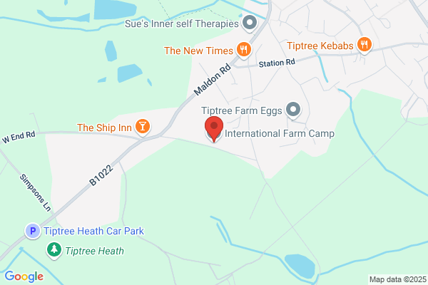 International Farm Camp