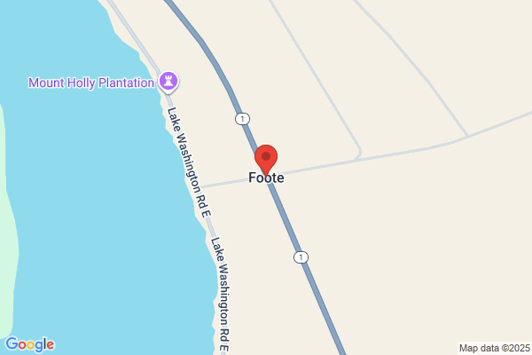 S Foote