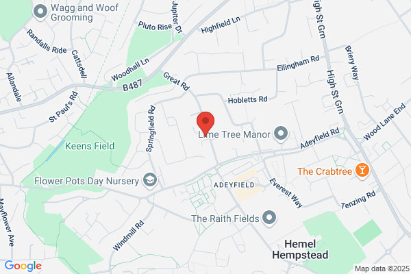 Qualified Tree Surgeon