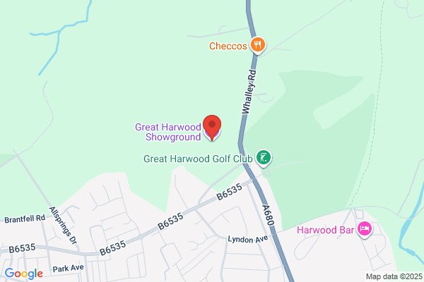 Greyhound Ford