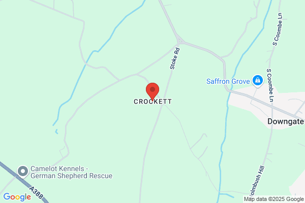 Crockett & Son