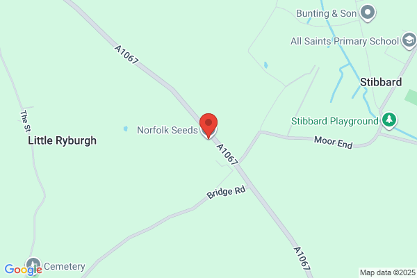 Norfolk Seeds Ltd