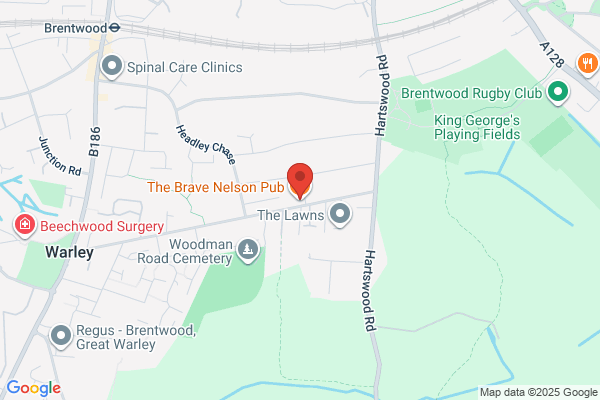 The Brave Nelson