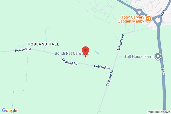 Hobland Kennels