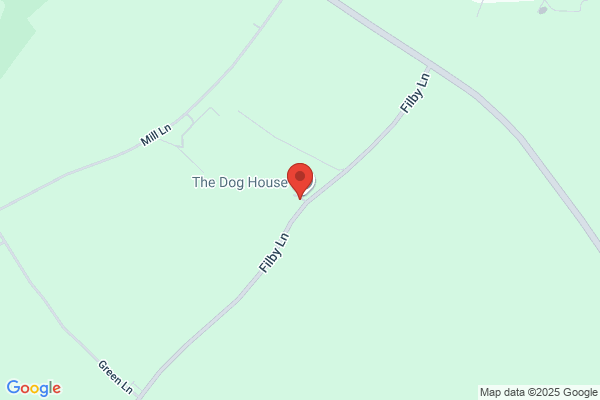 Dog & Cat Grooming