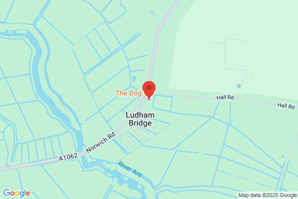 The Dog Inn