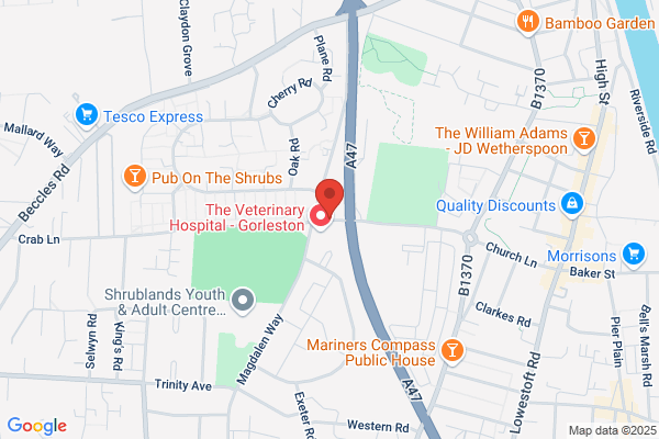 The Magdalen Arms