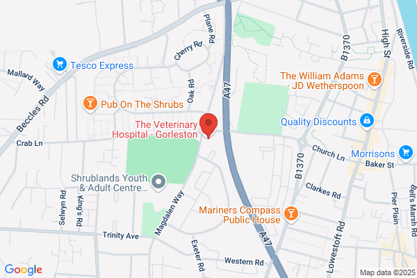 The Veterinary Hospital - Gorleston