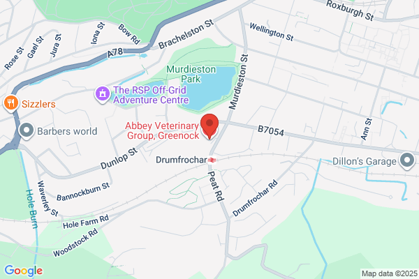 Abbey Veterinary Group, Greenock