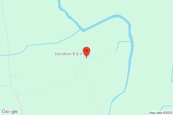 B & V Davidson