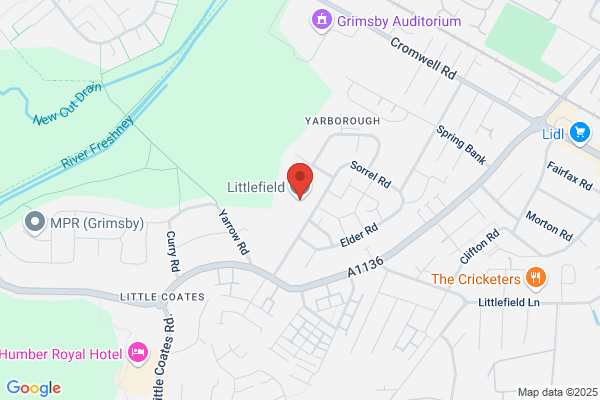 Littlefield Surgery