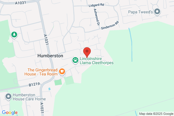 Humberston C Of E Primary School
