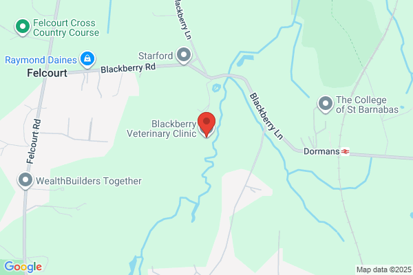 Baird J S Black Lion Veterinary Surgery
