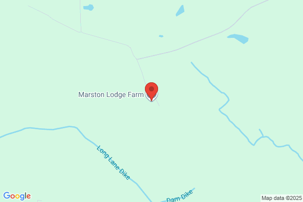 Martyn Lodge