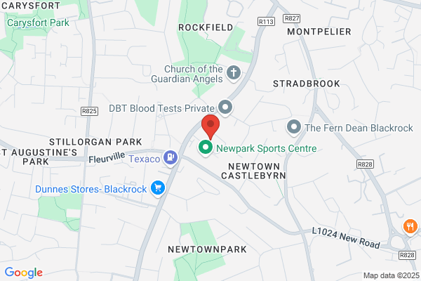 New Park School
