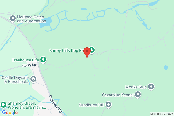 Holmwood Asociates Limited