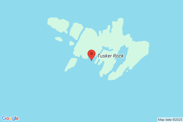 Tusker Rock Interiors