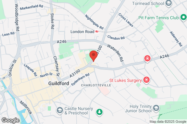 Wasp nest removal Guildford