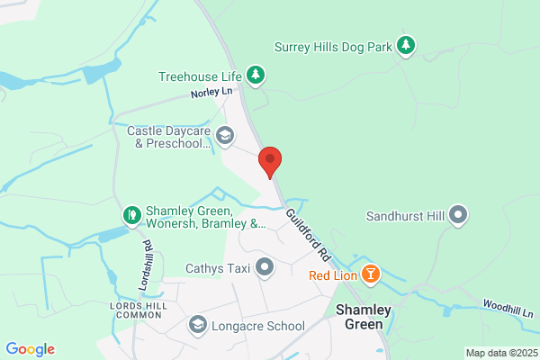 Wasp nest removal Guildford