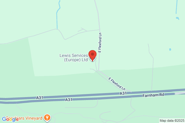 Lewis Services