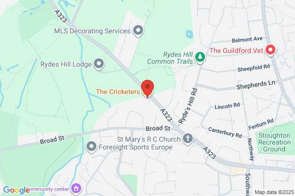 The Cricketers