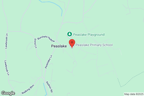 Peaslake School