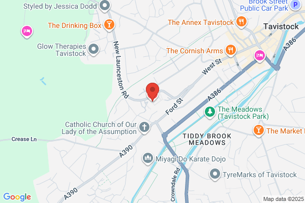 Tavistock Hospital