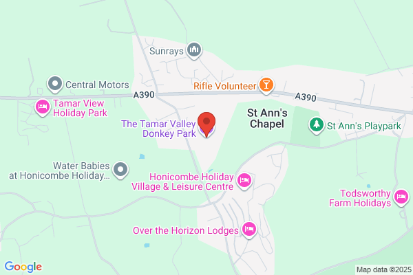 The Tamar Valley Donkey Park