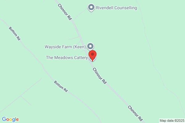 Ryan Hill Cattery