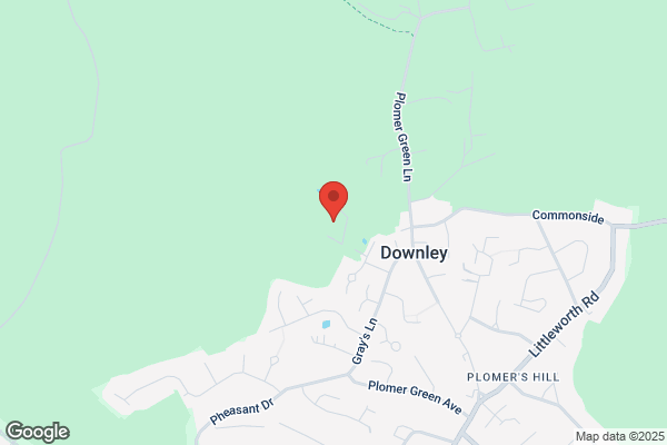 The Downley School