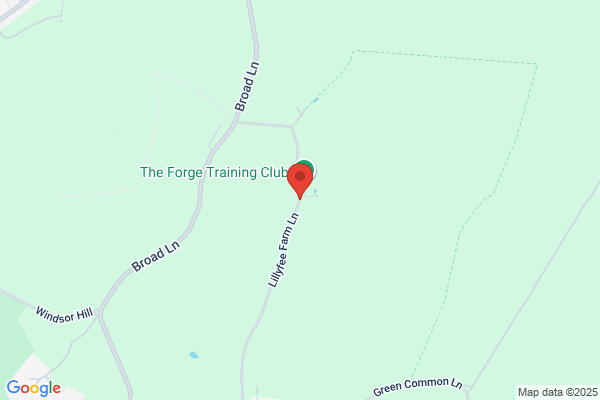 Lillyfee Woodcarving Studio