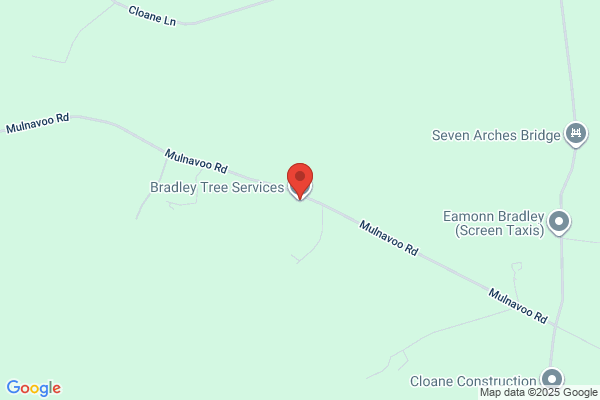 Bradley Tree Surgeons