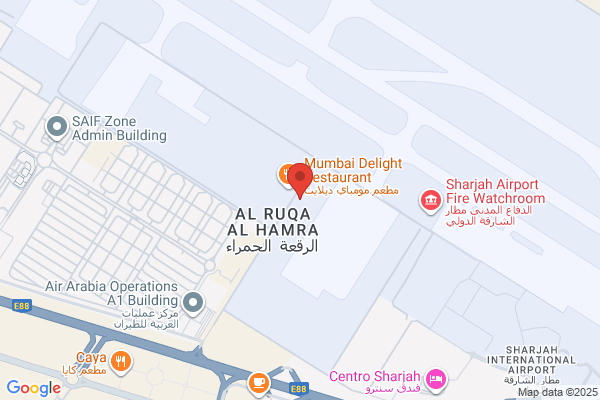 SAS Airport Services