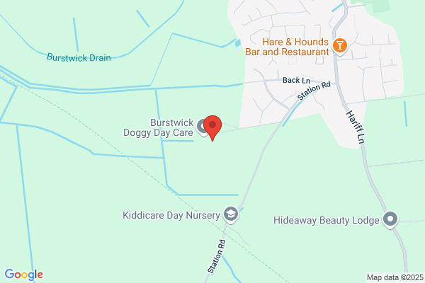Stud Farm Kennels & Posh Paw Cattery