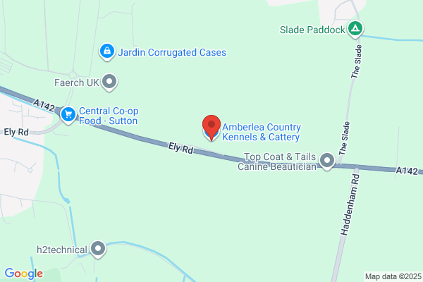 Amberlea Country Kennels & Cattery