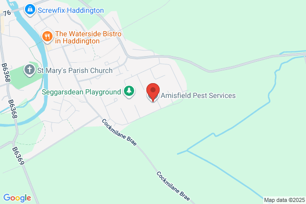 Amisfield Pest Services