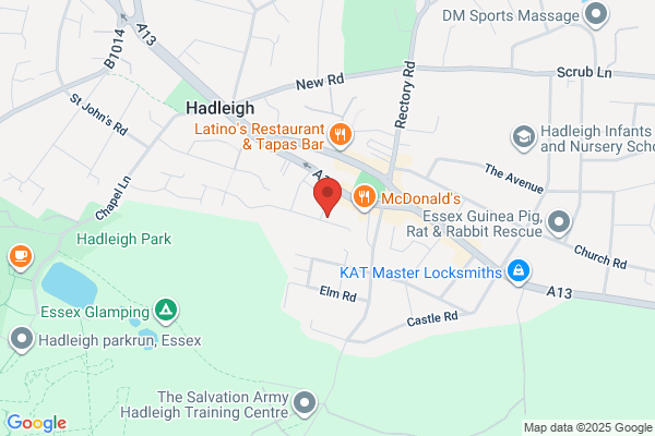 Tree Surgeon Essex