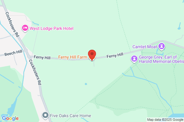 Ferny Hill