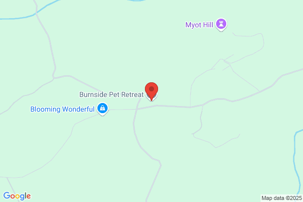 Burnside Pet Hotel