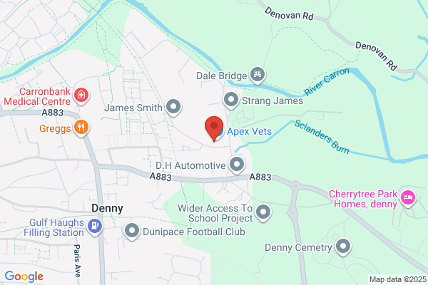 Stoneywood Support Services