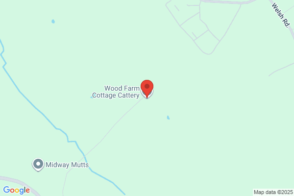 Parkwood Farmhouse Cattery